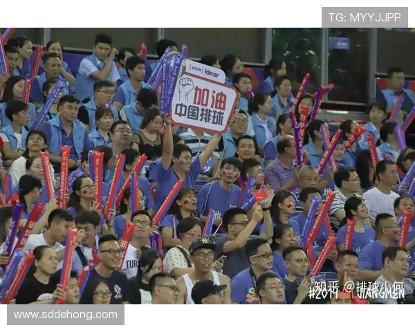 成都排球队灵活性引发热议球迷与专家观点交锋分析